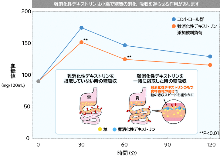 難 消化 性 デキストリン 効果