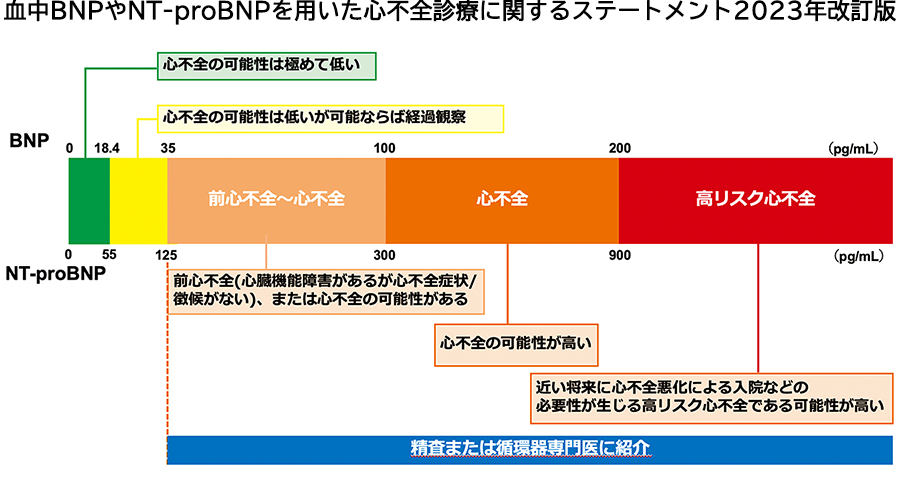 血中BNPやNT-proBNPを用いた心不全診療に関するステートメント2023年改訂版