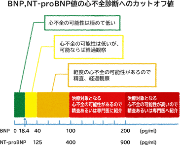 BNP,NT-proBNP値の心不全診断へのカットオフ値