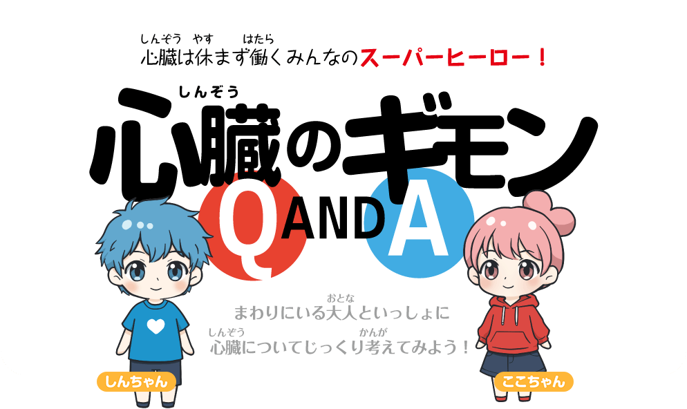 心臓（しんぞう）のギモン Q&A