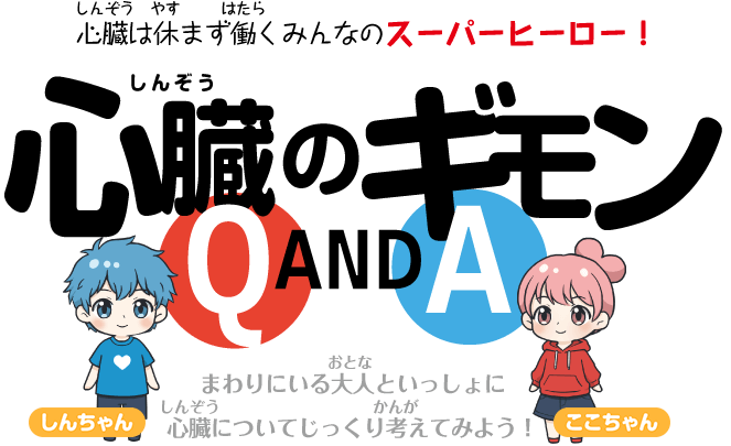 心臓（しんぞう）のギモン Q&A