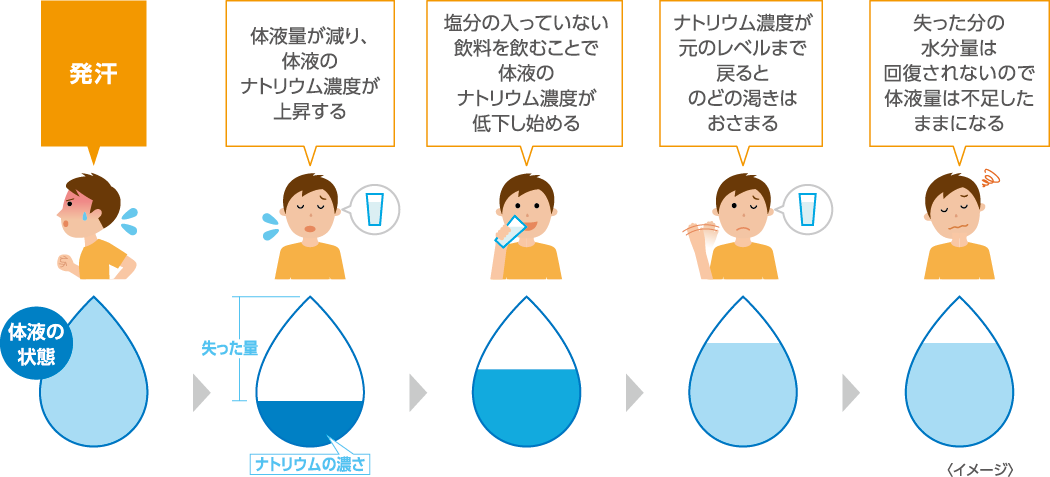 Siadh症状と病態 Siadh Jp 抗利尿ホルモン不適合分泌症候群 がよくわかるサイト 大塚製薬