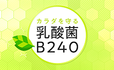 乳酸菌B240研究所