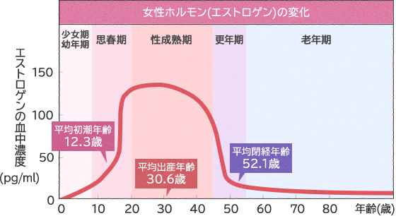 女性ホルモン（エストロゲン）の変化