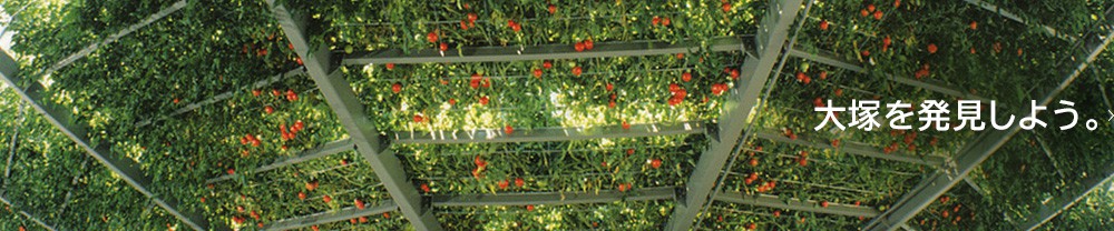 大塚を発見しよう。