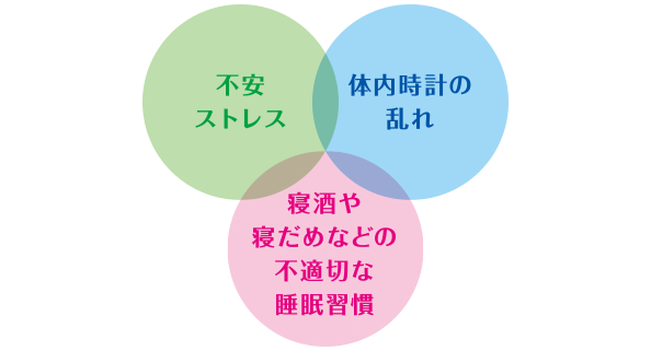 不安、ストレス　体内時計の乱れ　寝酒や寝だめなどの不適切な睡眠習慣