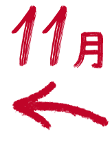 11月