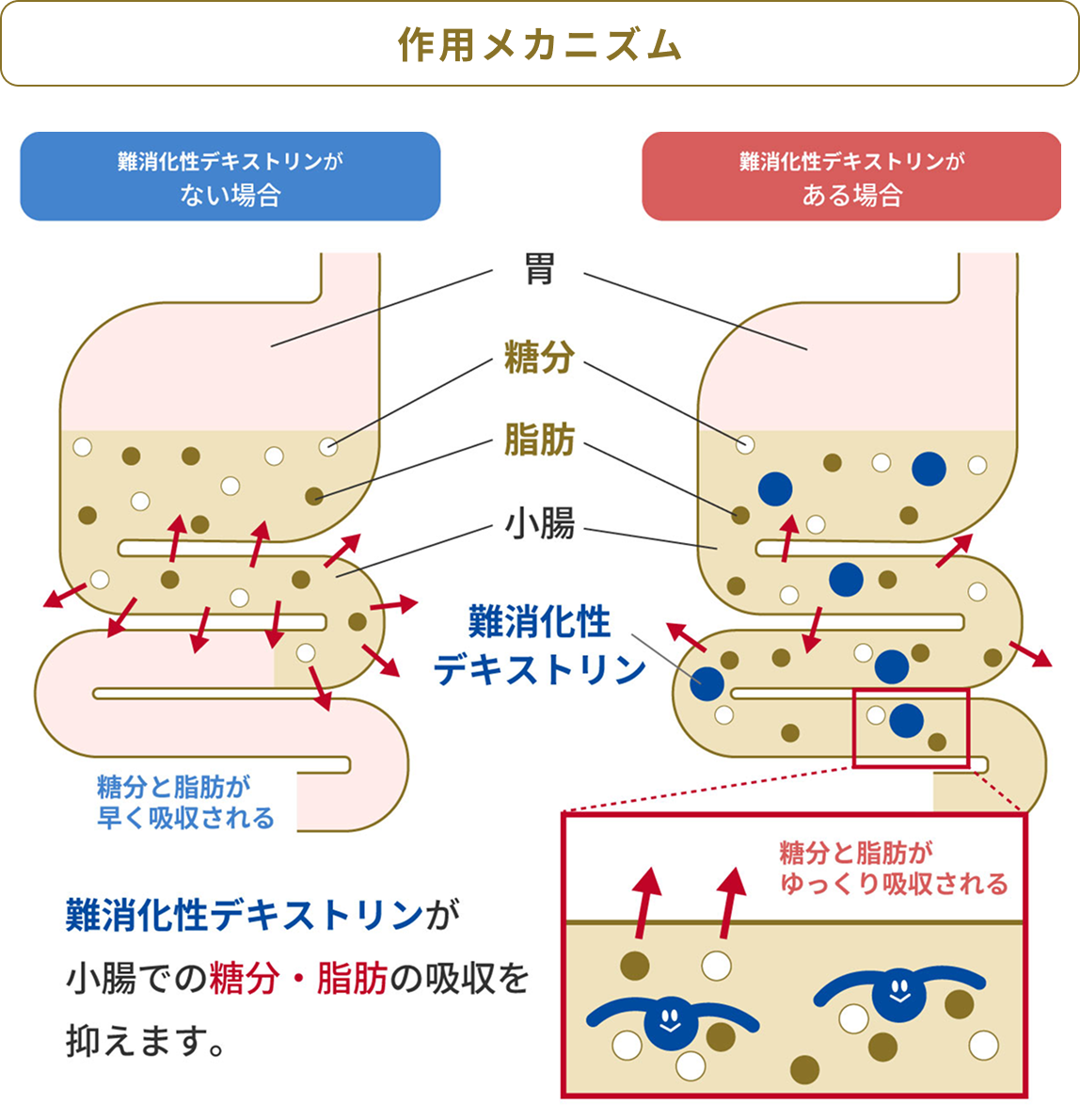 作用メカニズム