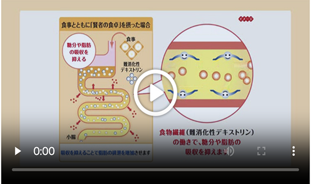 難消化性デキストリン解説ムービーをみる