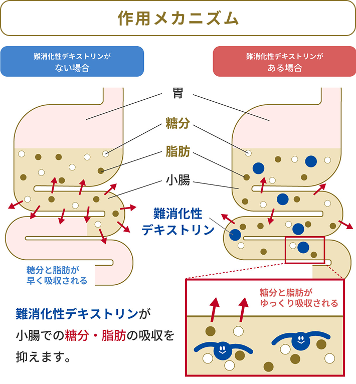作用メカニズム