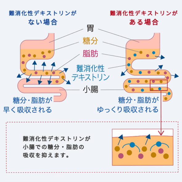 賢者の食卓作用メカニズム図