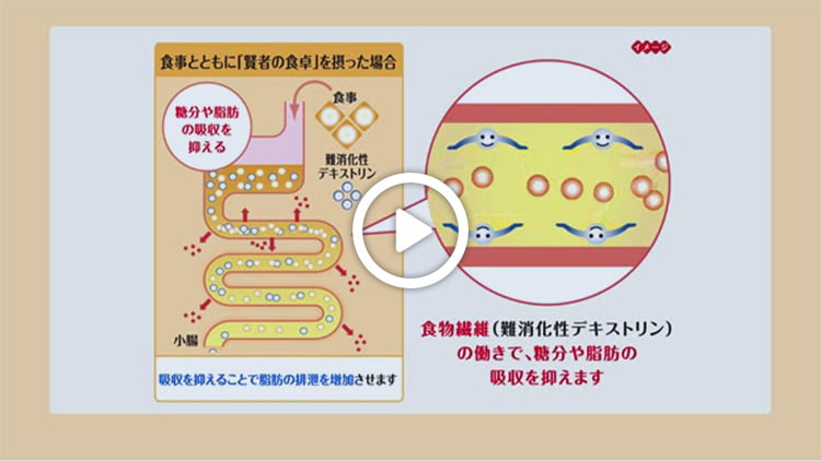 賢者の食卓 ダブルサポート公式サイト -製品情報-｜大塚製薬
