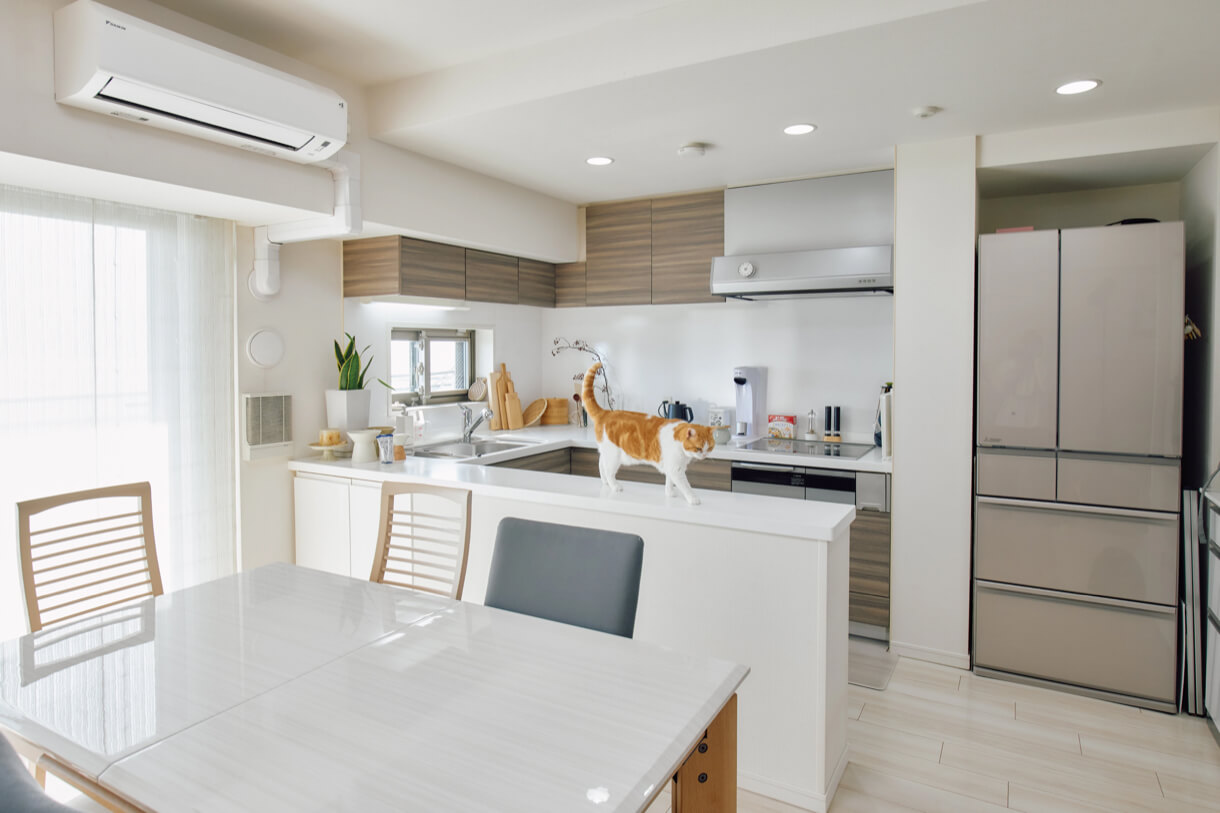 猫と人が暮らすリビング