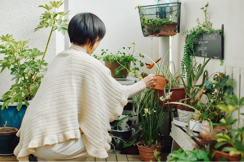 賢者の食卓のある暮らし