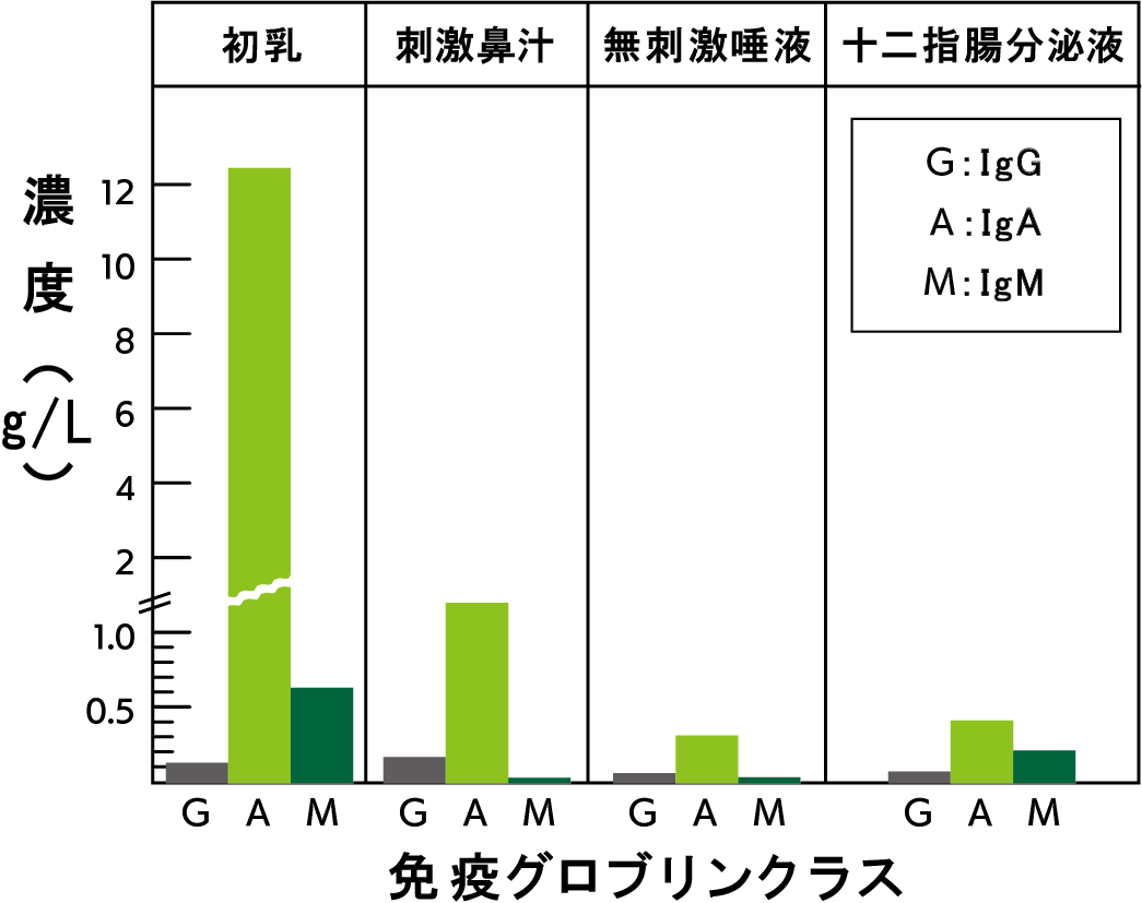 免疫グロブリンクラス