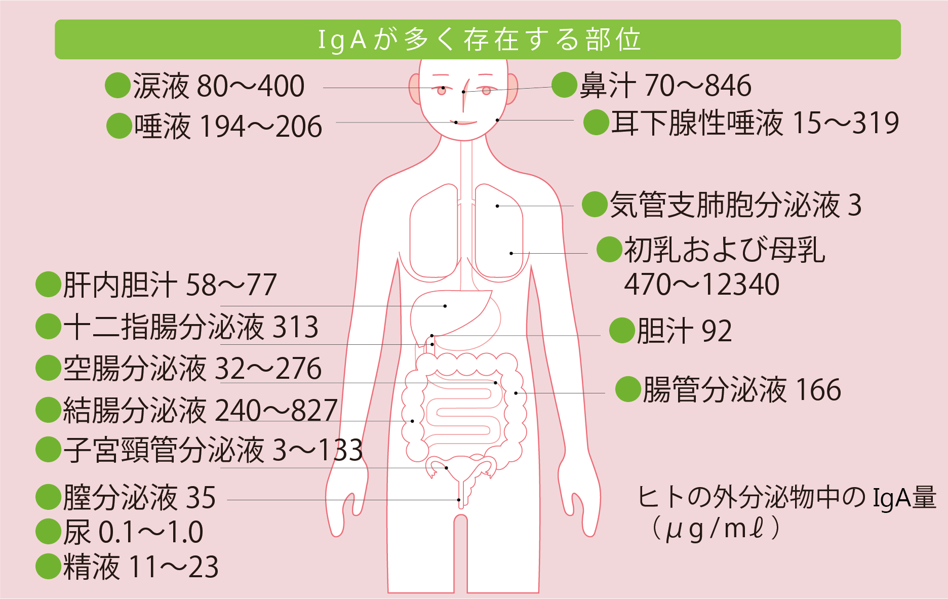 部位