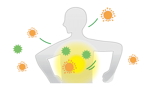 体内外の微生物と共存する生き方