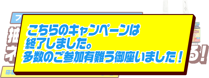 抽選で100名様にネイチャーメイドグッズが当たる！応募期間：2021.3.1〜3.31まで