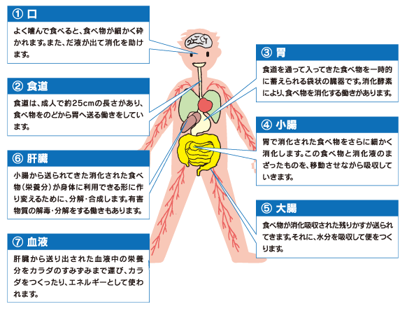 栄養素の役割と摂取状況 大塚製薬