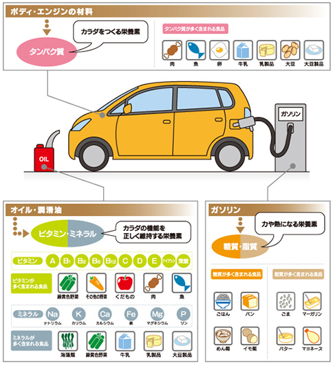 栄養素の役割と摂取状況 大塚製薬