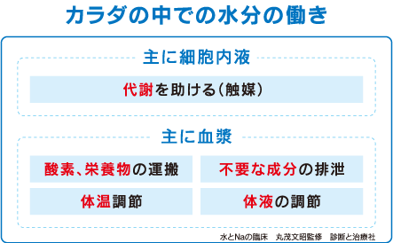 カラダの中での水分の働き