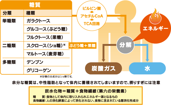 素早くエネルギーとなる糖質 大塚製薬