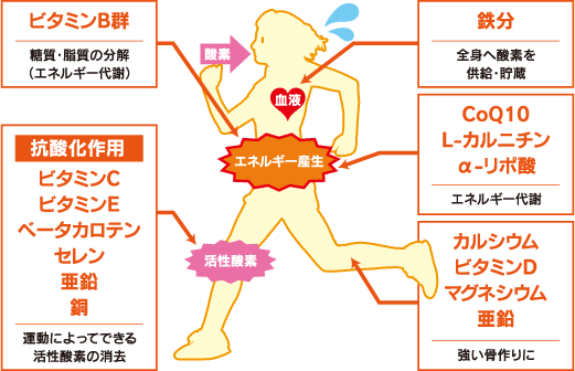 アスリート 運動をする人に不足しがちな栄養素 大塚製薬