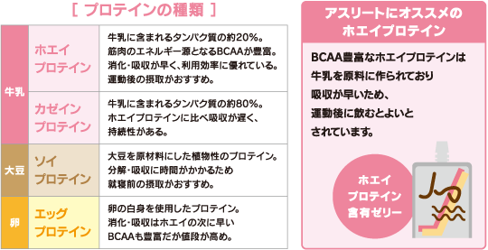 プロテイン タンパク質 多い