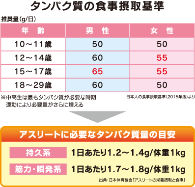 タンパク質の食事摂取基準