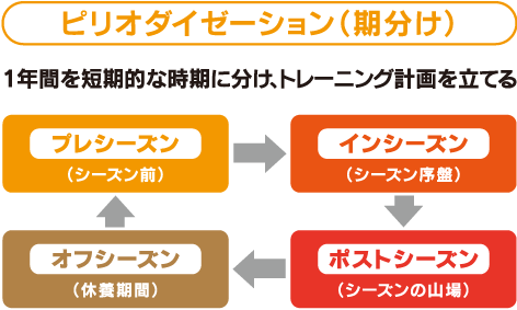 ピリオダイゼーション（期分け）