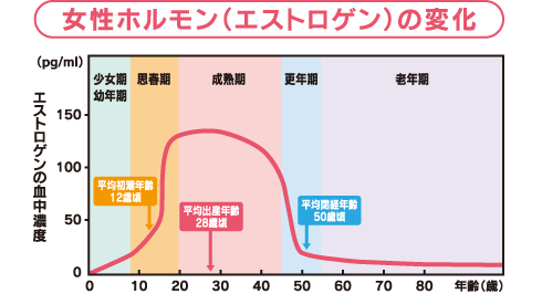 女性ホルモン（エストロゲン）の変化