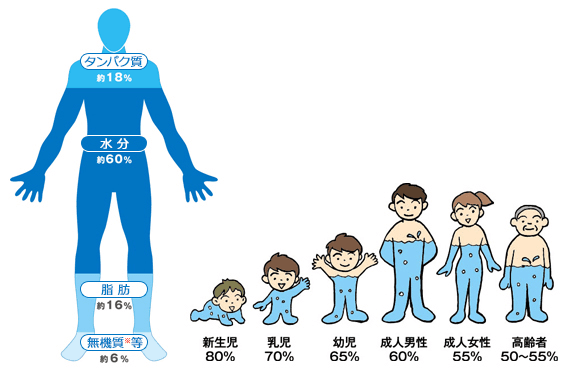 身体と水分｜大塚製薬