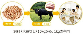 飼料（大豆など）10kgから、1kgの牛肉