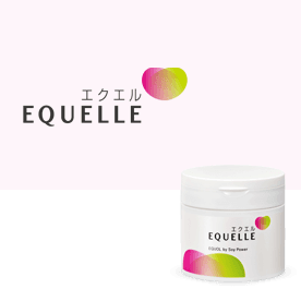 エクエル（EQUELLE）