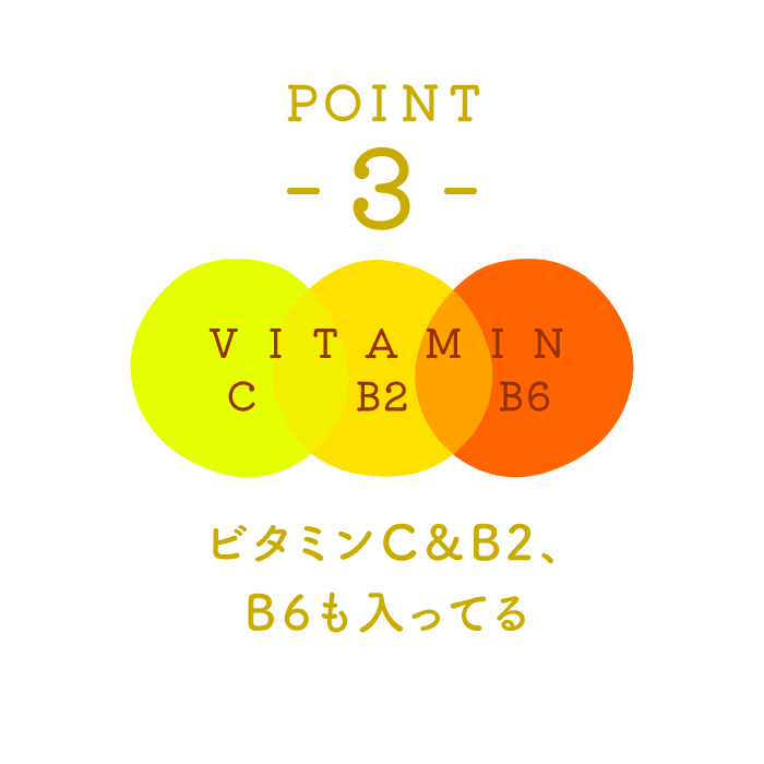 POINT 3 ビタミンC&B2、B6も入ってる