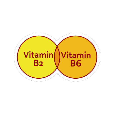 ビタミンB2とB6も入ってる。
