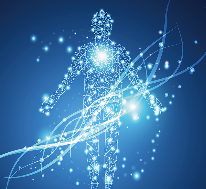 ケンフェロールの研究