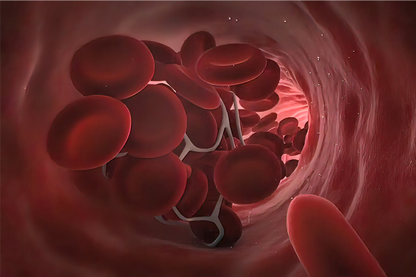 赤血球が酸素を運搬しているイメージ
