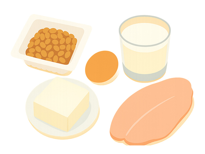 たんぱく質を多く含む食品