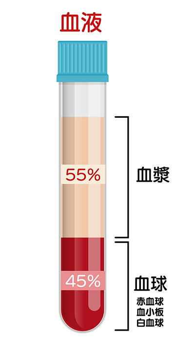 血液中に含まれる成分の割合