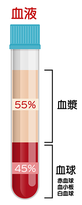 血液中に含まれる成分の割合