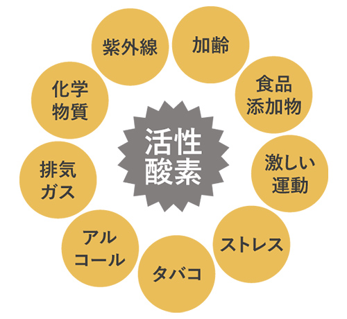 活性酸素が増える原因