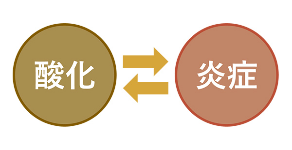 「酸化」と「炎症」の関係