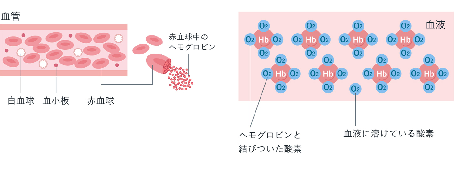 酸素飽和度を示す図
