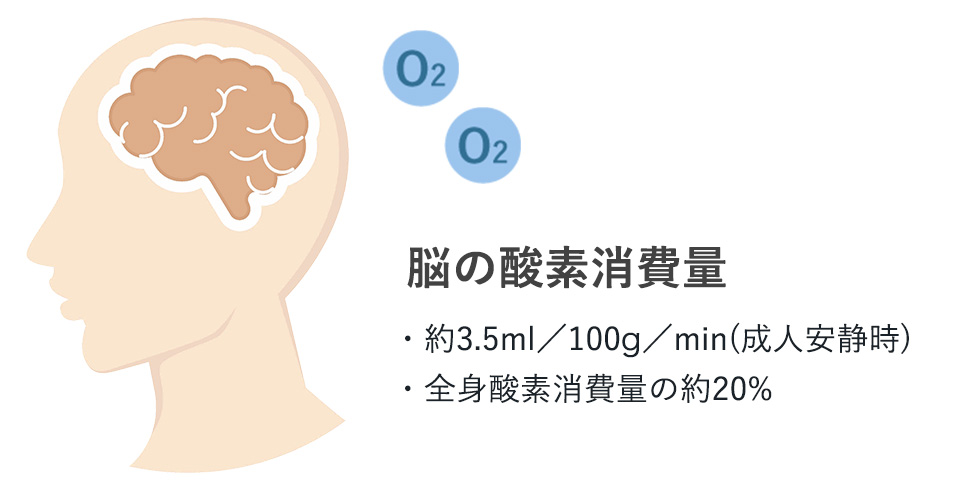 ヒトの脳の酸素消費量