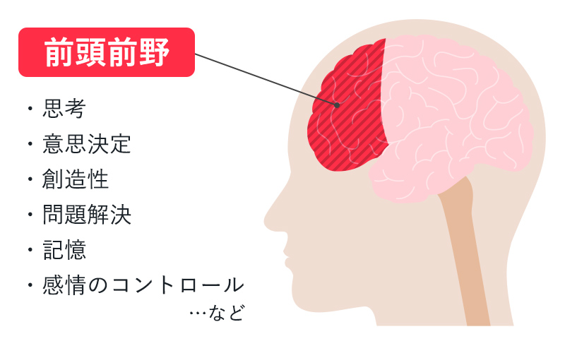 脳の前頭前野の機能