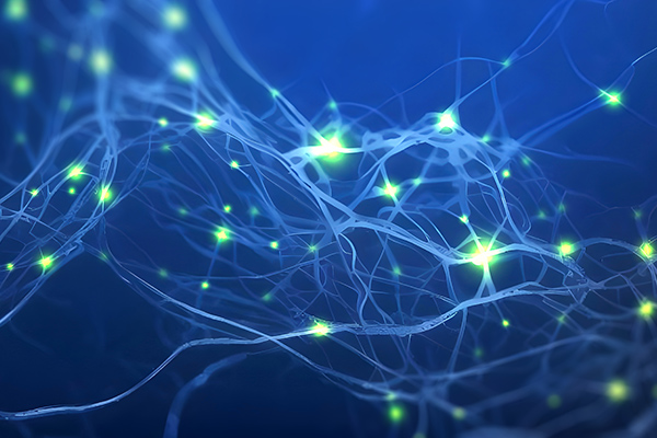 脳の神経細胞のイメージ