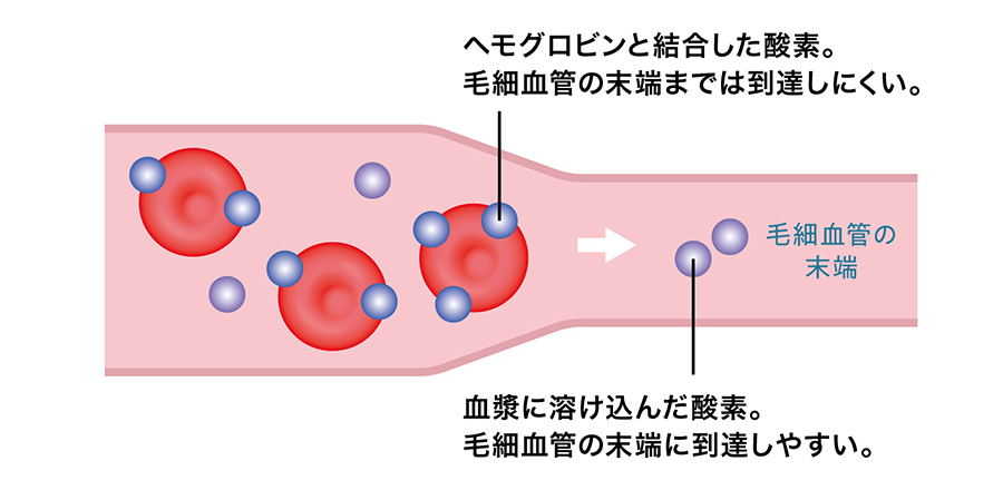 毛細血管の末端に酸素が届けられる図