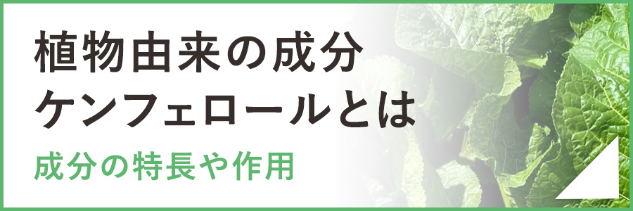 植物由来の成分ケンフェロールとは ～成分の特長や作用～