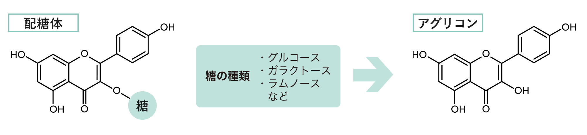 配糖体からアグリコンへの変換